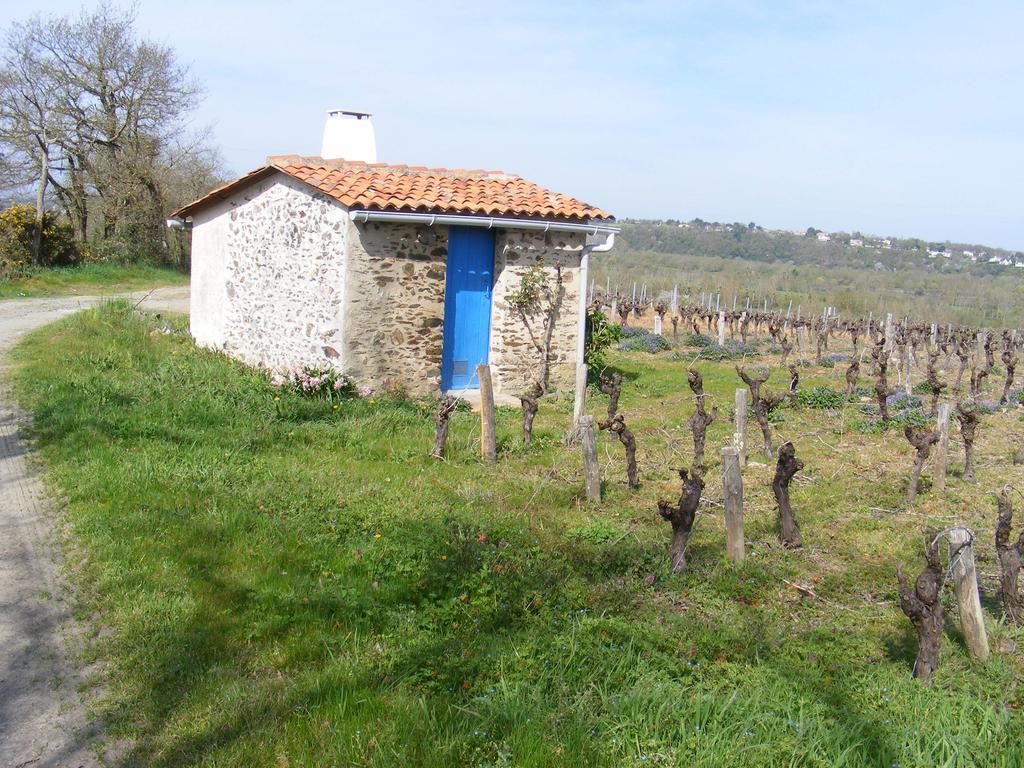 Chambres d'Hôtes Vignes et Loire Drain Quarto foto