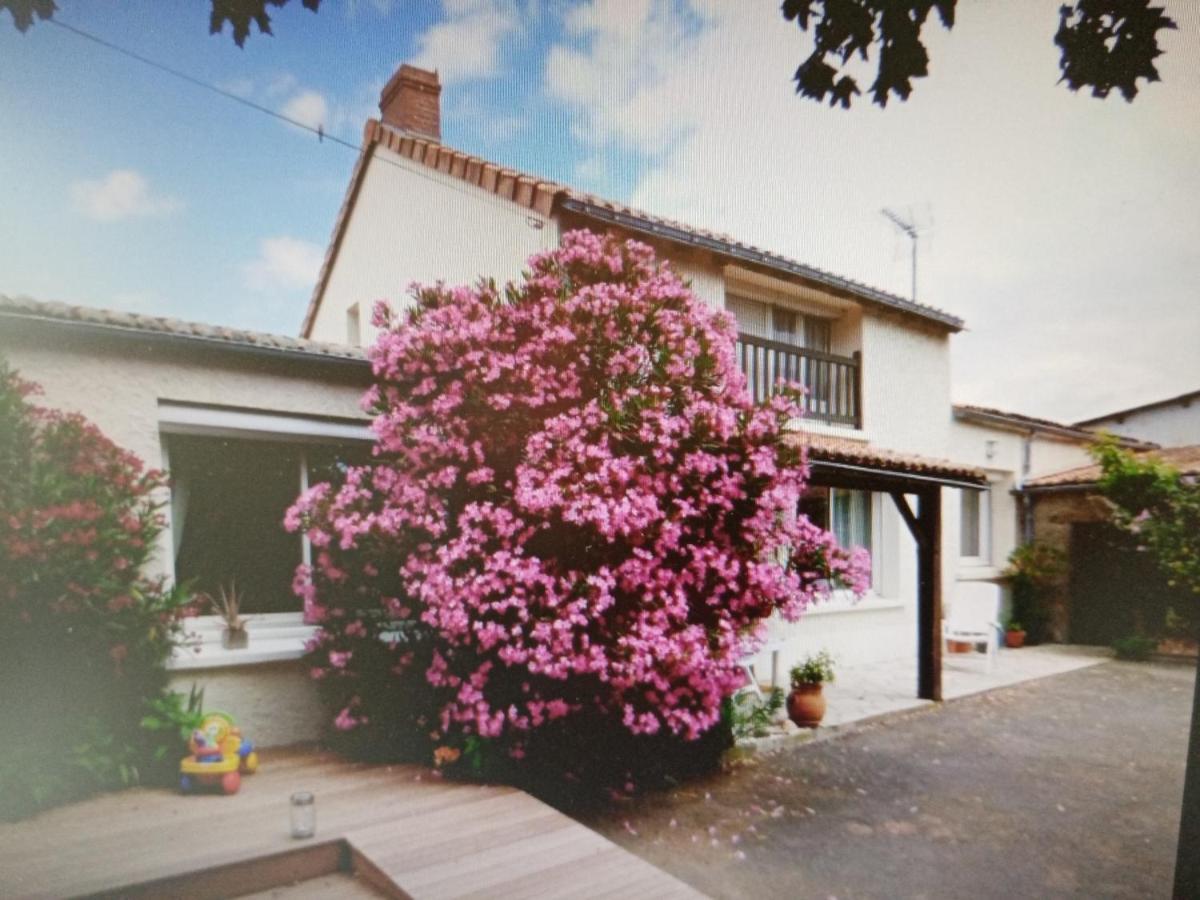 Chambres d'Hôtes Vignes et Loire Drain Exterior foto