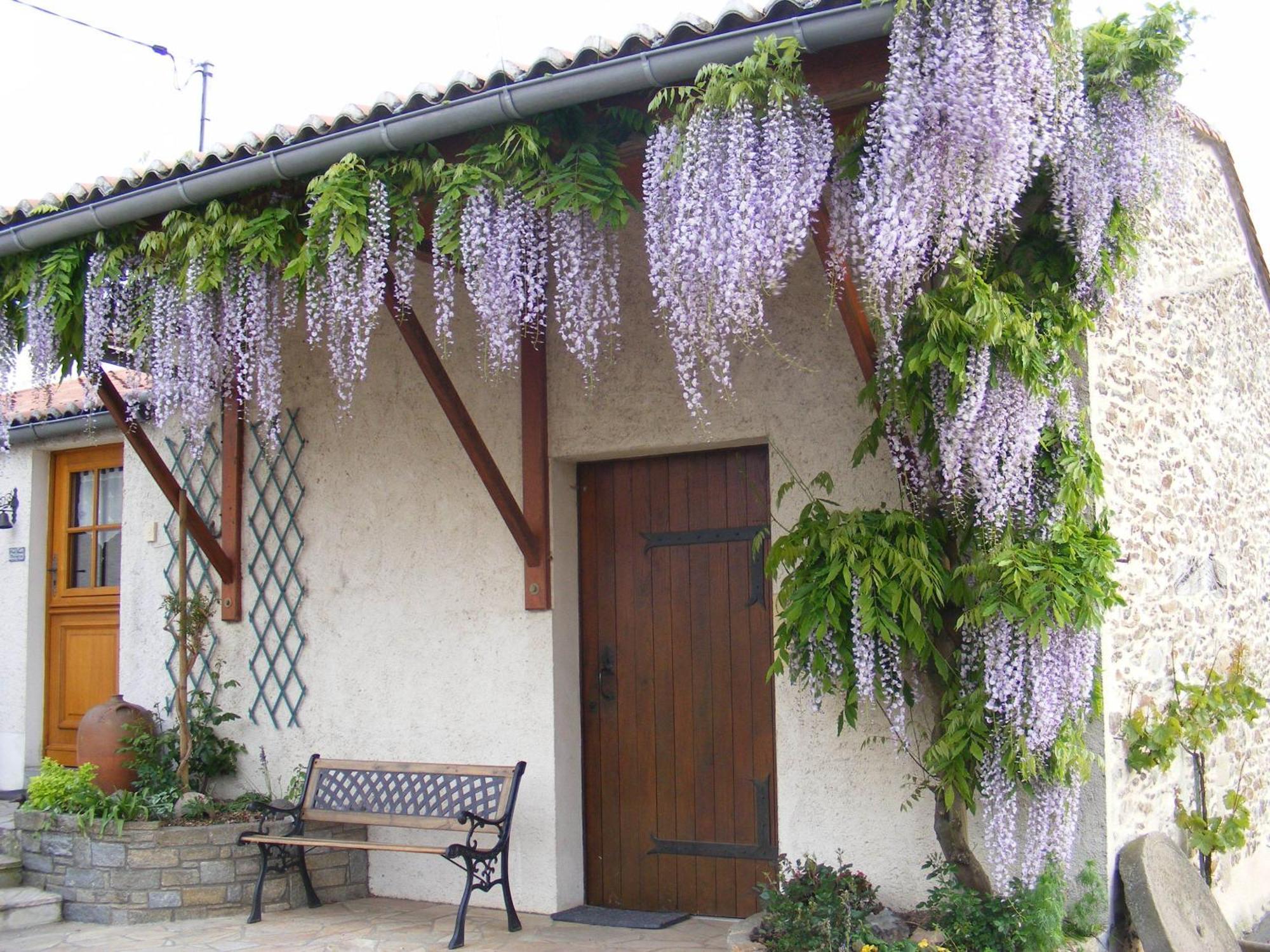 Chambres d'Hôtes Vignes et Loire Drain Exterior foto
